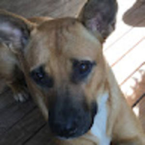 Meet your Posher, Julien